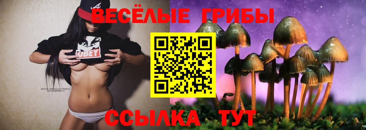 Галлюциногенные грибы ЛСД  Вход с VPN  Улан-Удэ  Псилоцибиновые грибы мухоморы 